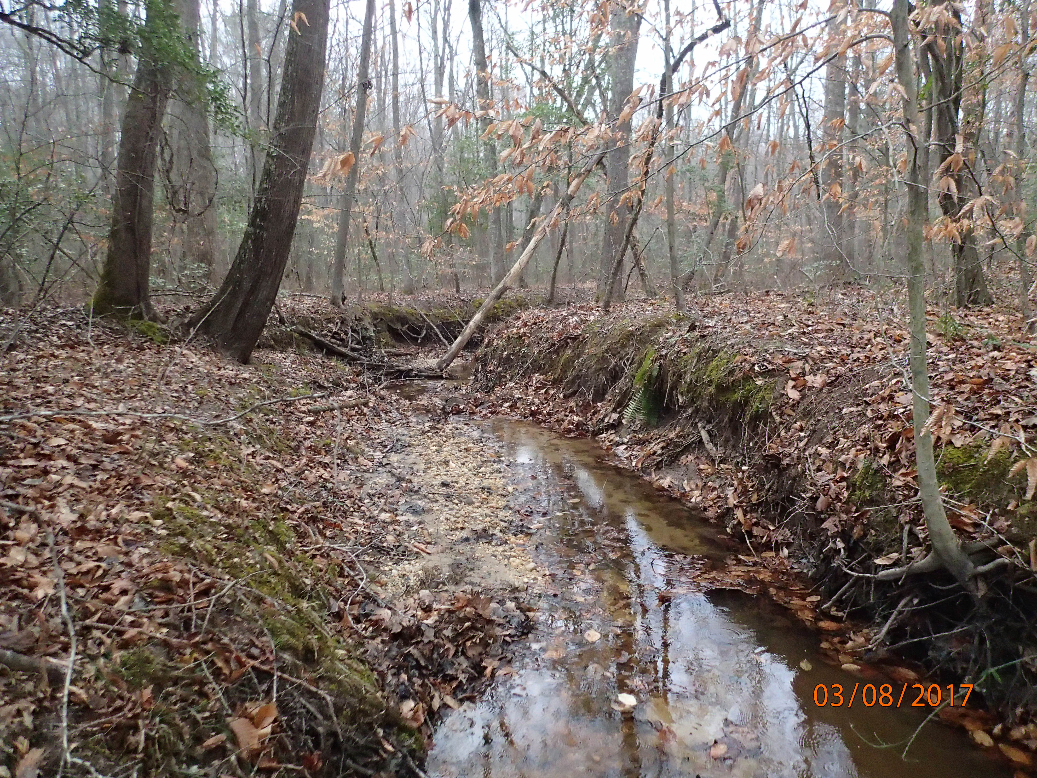 Field photo showing stream conditions at site STCL-051-S-2017-MidpointPDownstream