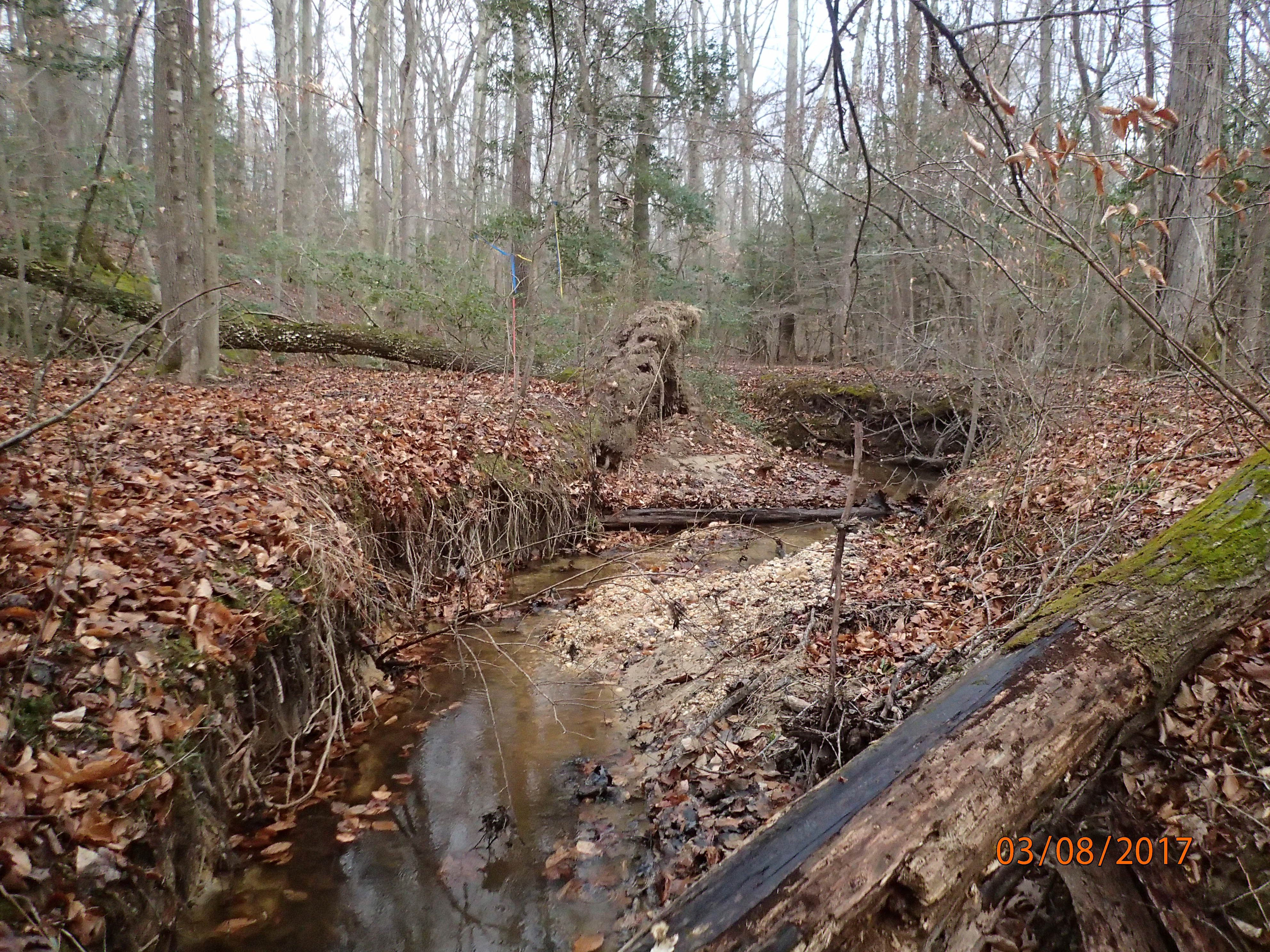Field photo showing stream conditions at site STCL-051-S-2017-MidpointPUpstream