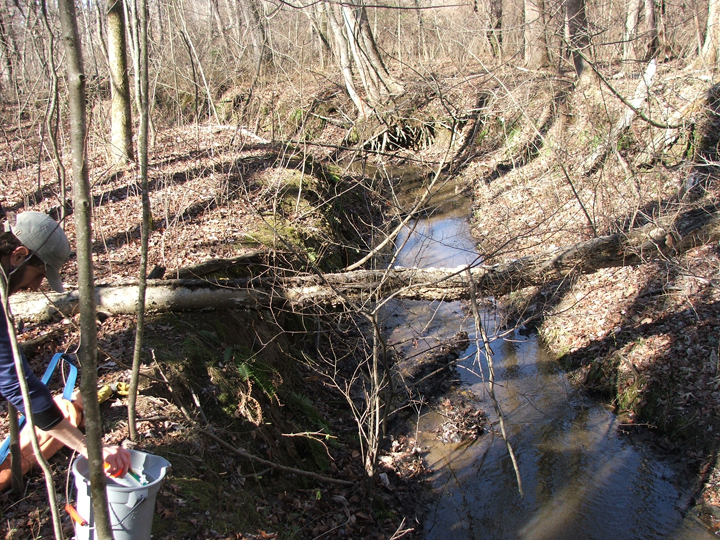 Field photo showing stream conditions at site STCL-102-B-2008-1