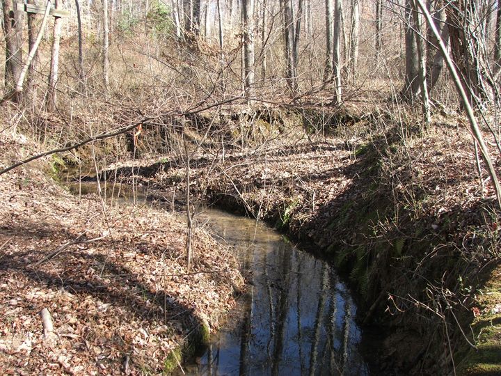Field photo showing stream conditions at site STCL-102-B-2008-2