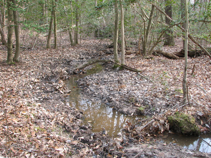 Field photo showing stream conditions at site STCL-102-R-2007-1