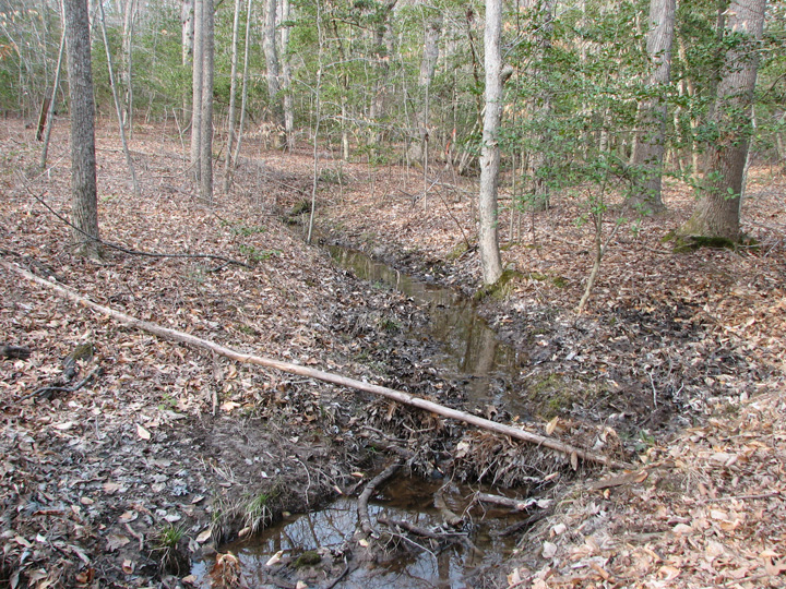 Field photo showing stream conditions at site STCL-102-R-2007-2
