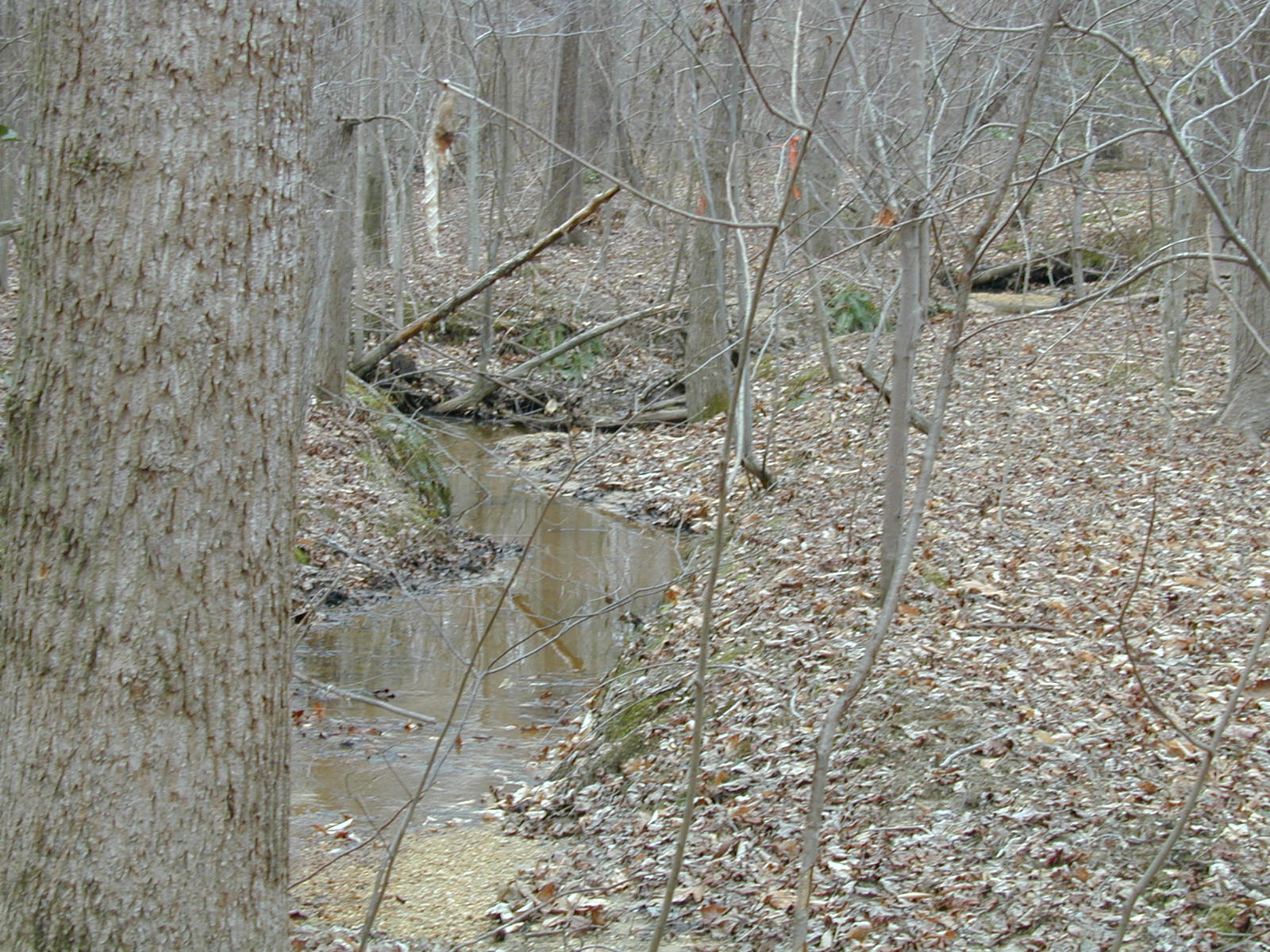 Field photo showing stream conditions at site STCL-106-R-2002-391