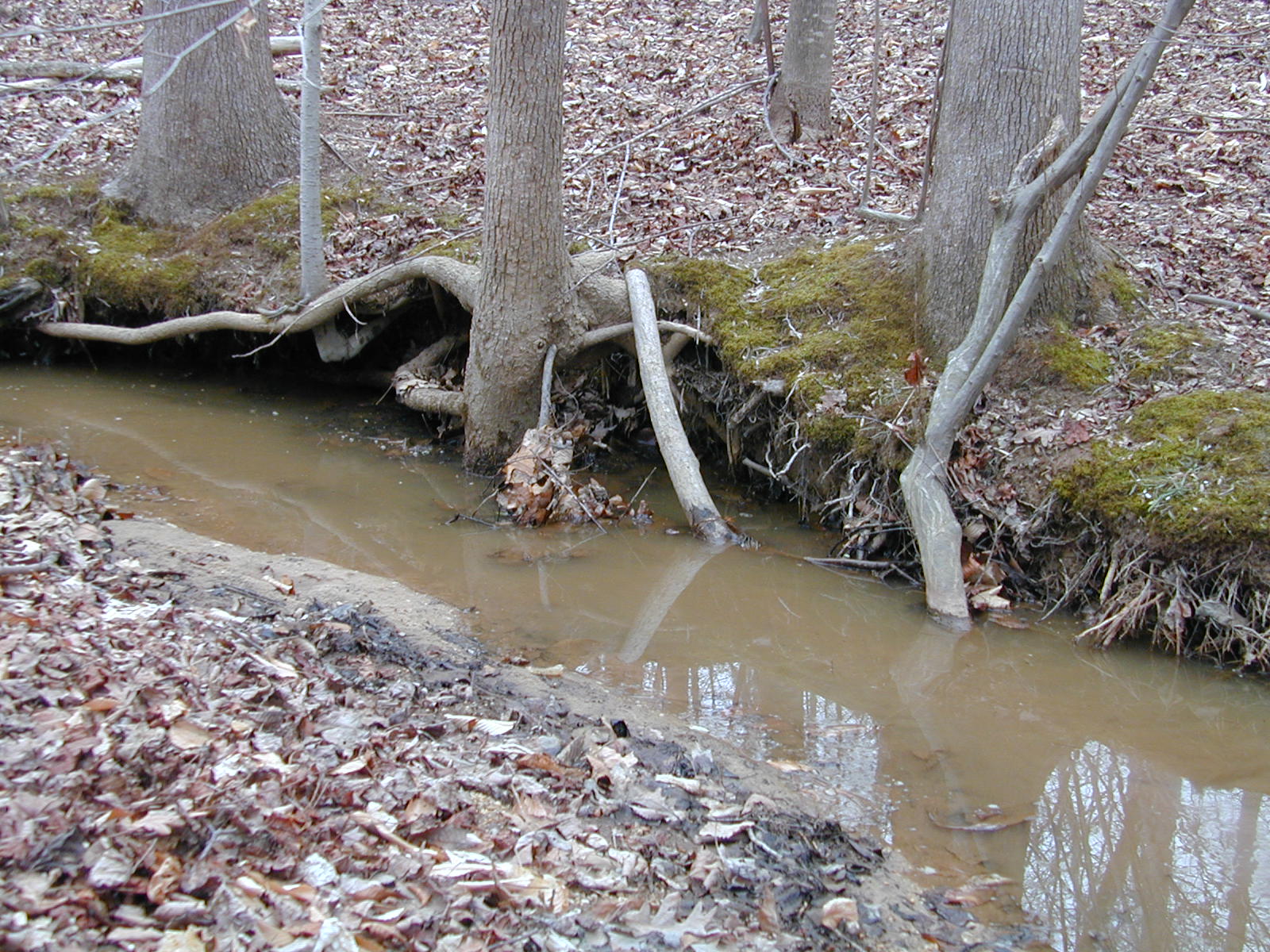 Field photo showing stream conditions at site STCL-106-R-2002-392