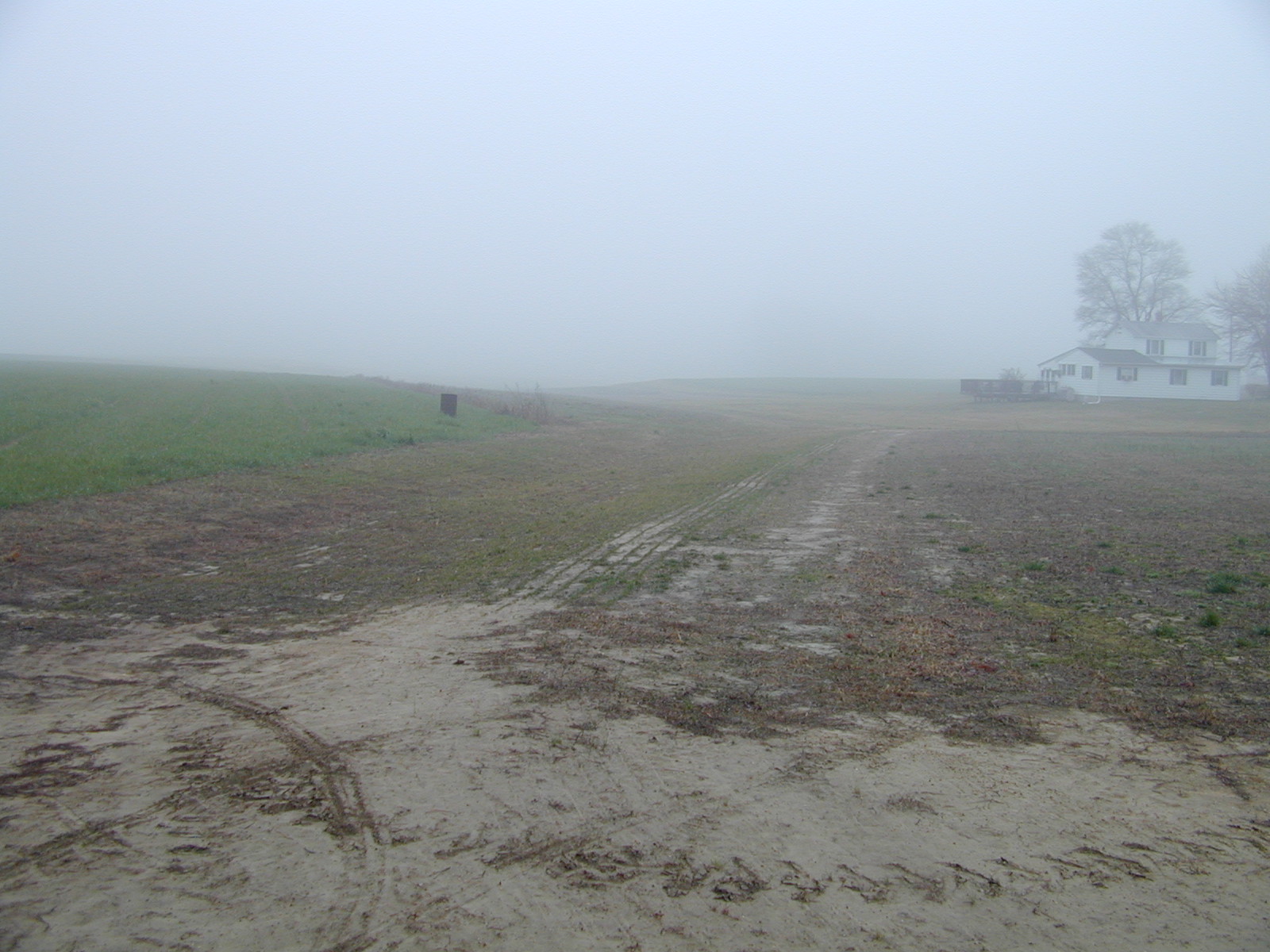 Field photo showing stream conditions at site STCL-109-R-2002-395