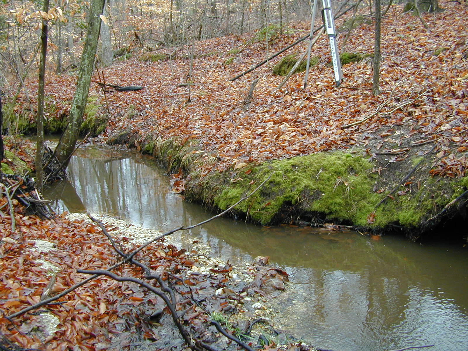 Field photo showing stream conditions at site STCL-112-R-2002-401