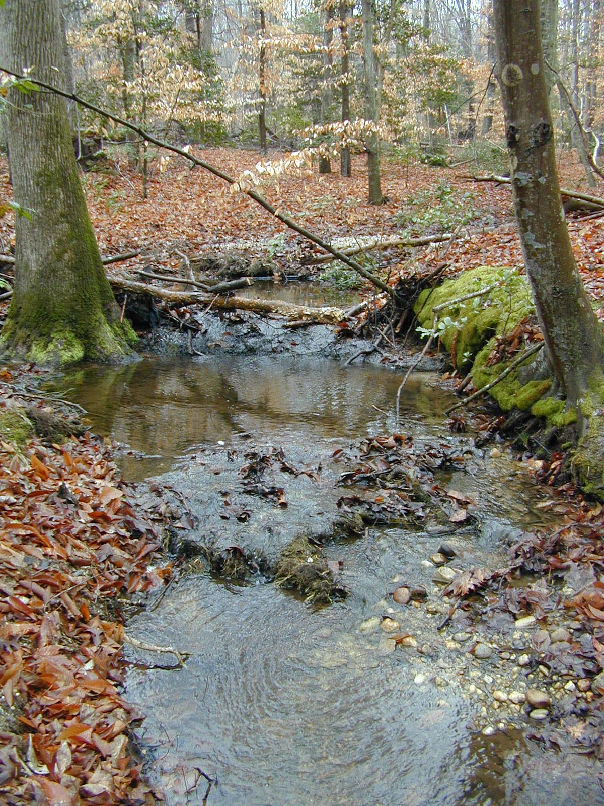 Field photo showing stream conditions at site STCL-112-R-2002-402