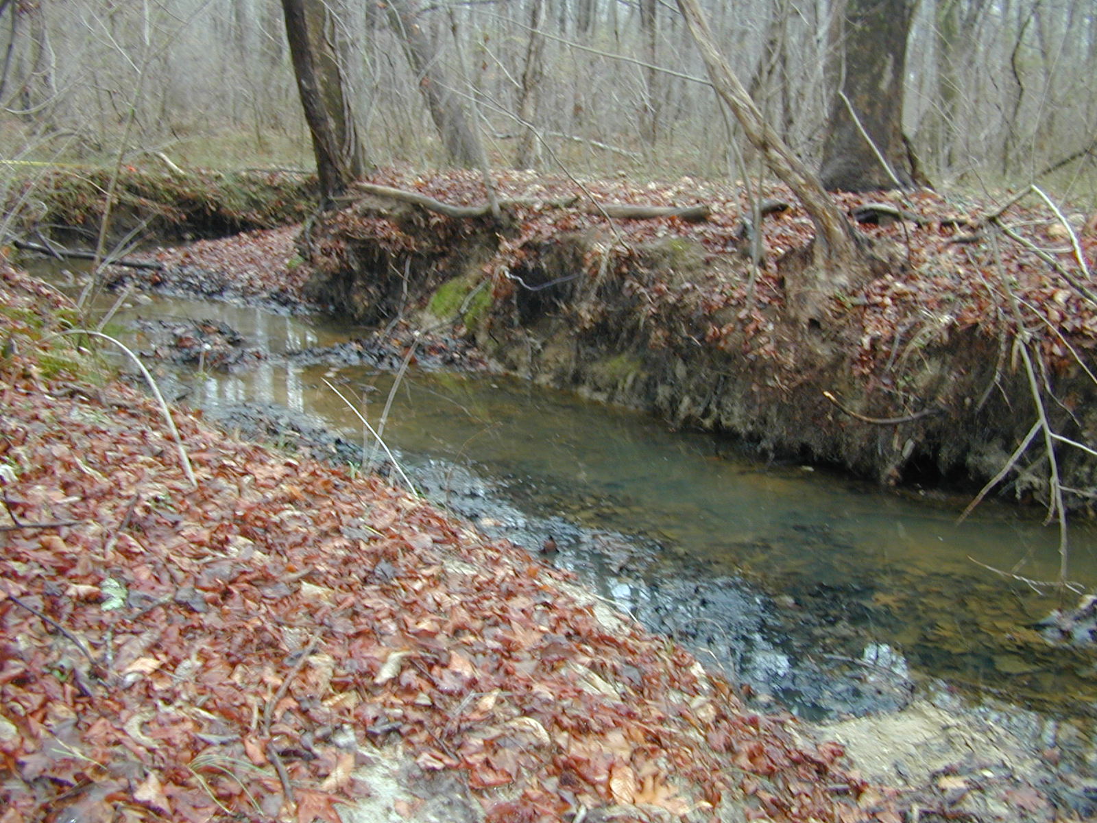 Field photo showing stream conditions at site STCL-116-R-2002-406