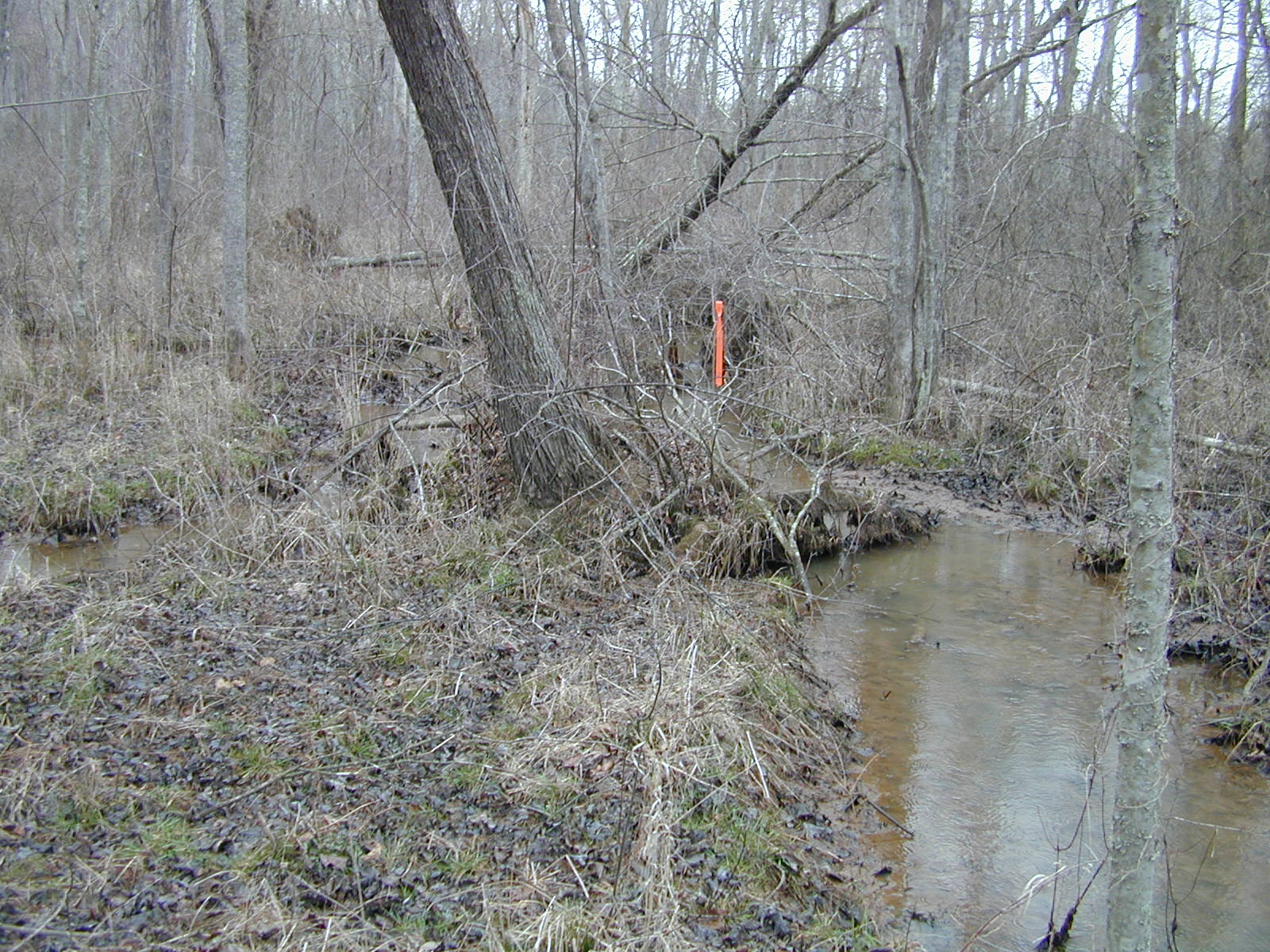 Field photo showing stream conditions at site STCL-213-R-2002-393