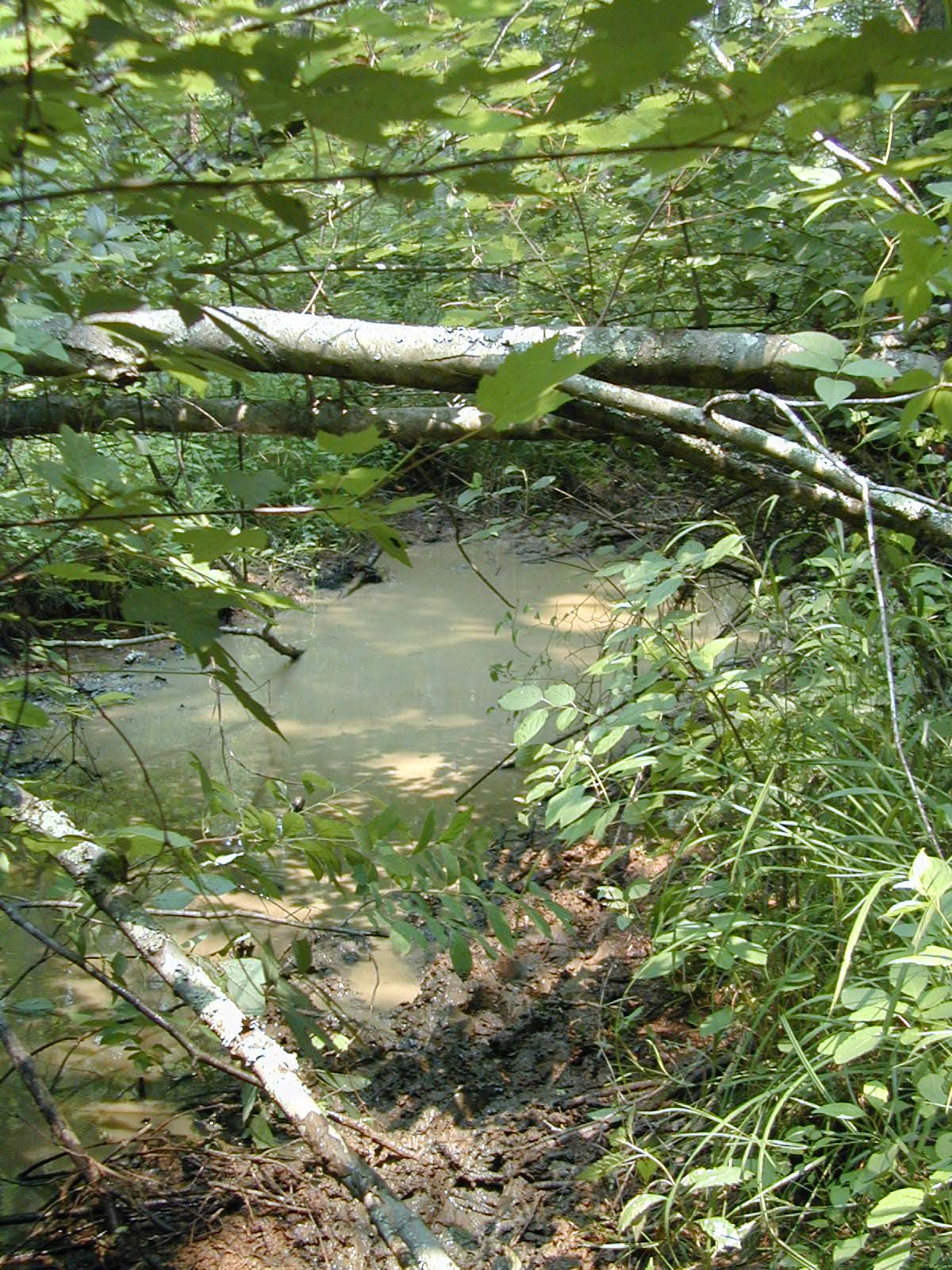 Field photo showing stream conditions at site STCL-213-R-2002-572