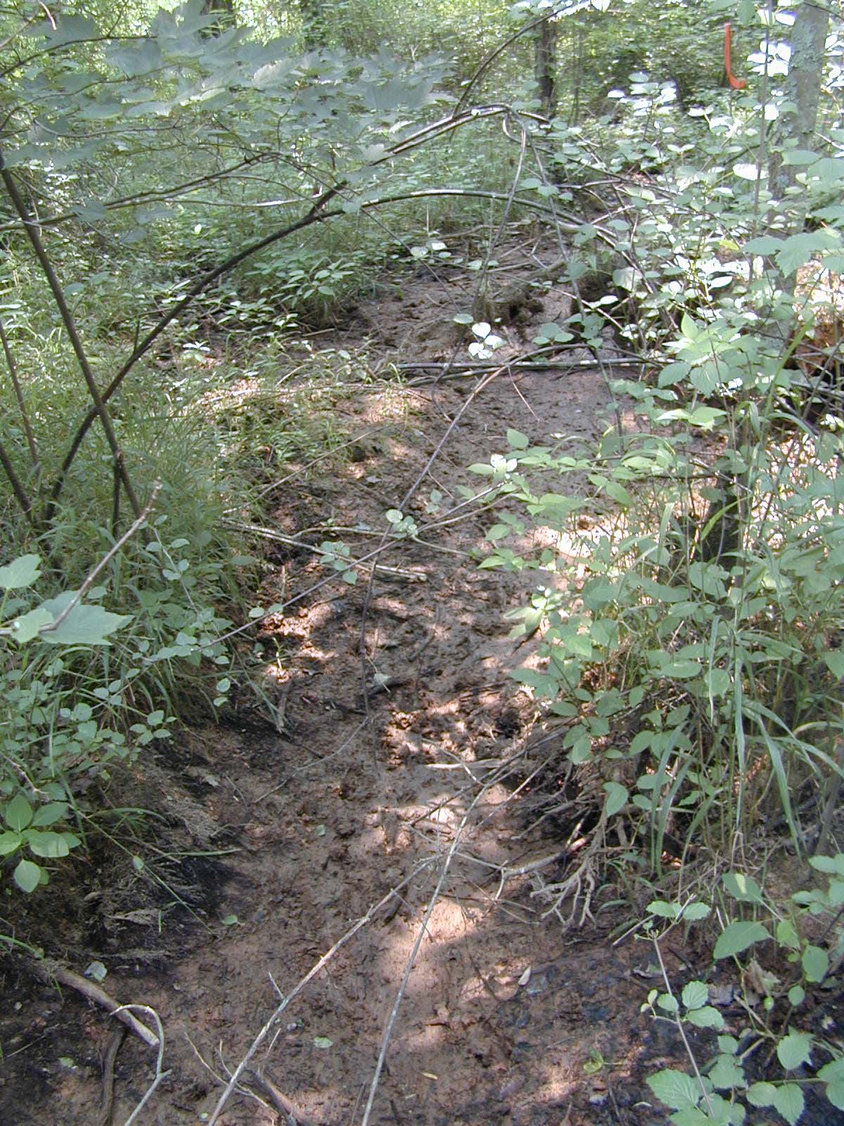 Field photo showing stream conditions at site STCL-213-R-2002-573