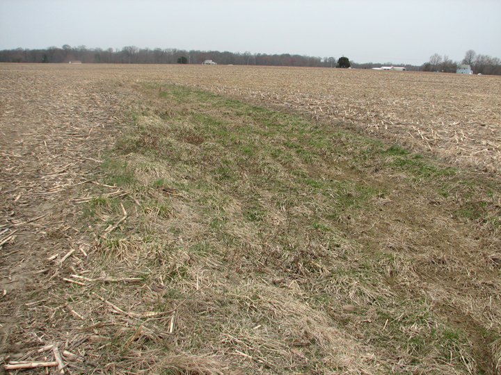 Field photo showing stream conditions at site STIL-103-B-2008-1