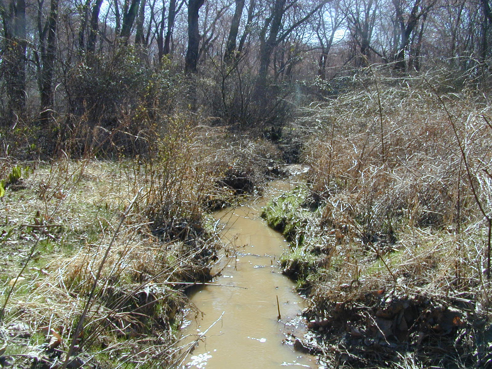Field photo showing stream conditions at site STIL-103-R-2001-1