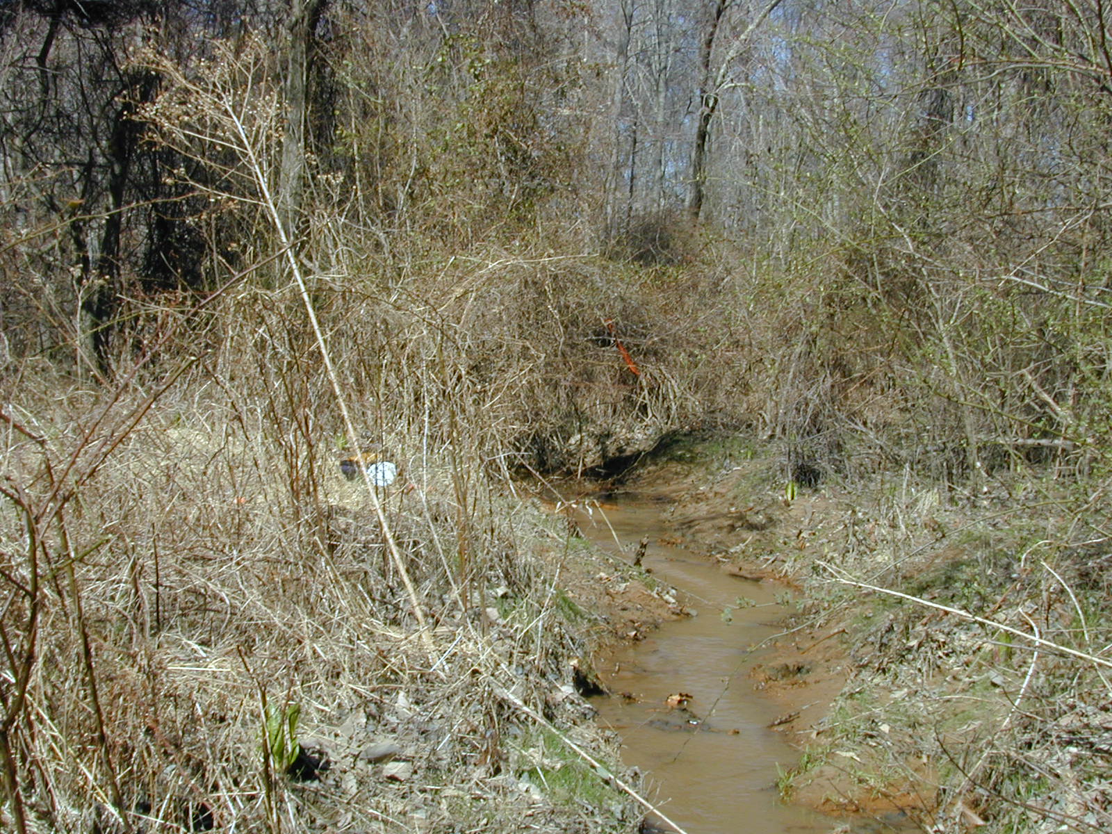 Field photo showing stream conditions at site STIL-103-R-2001-2