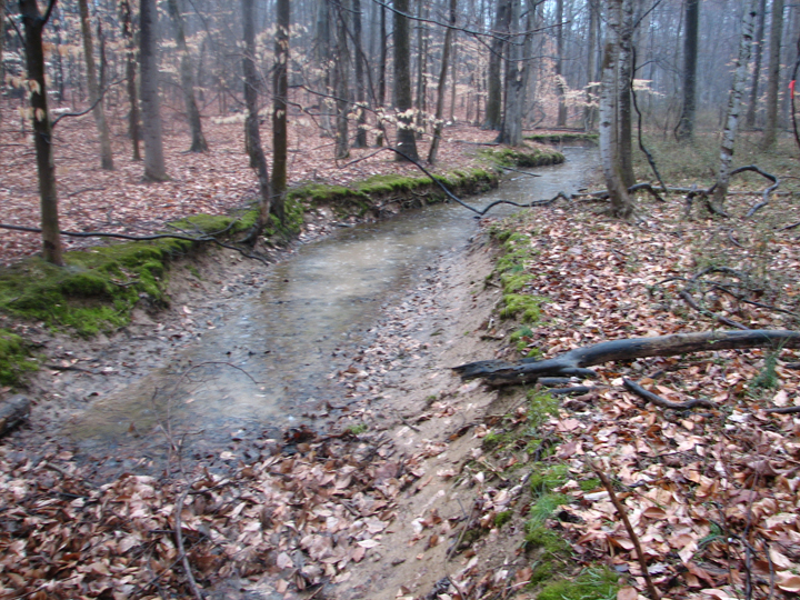 Field photo showing stream conditions at site STIL-104-B-2008-1