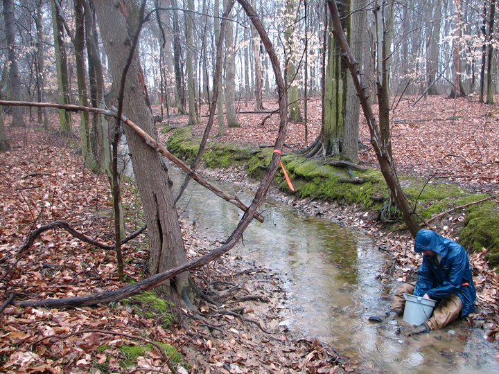Field photo showing stream conditions at site STIL-104-B-2008-2