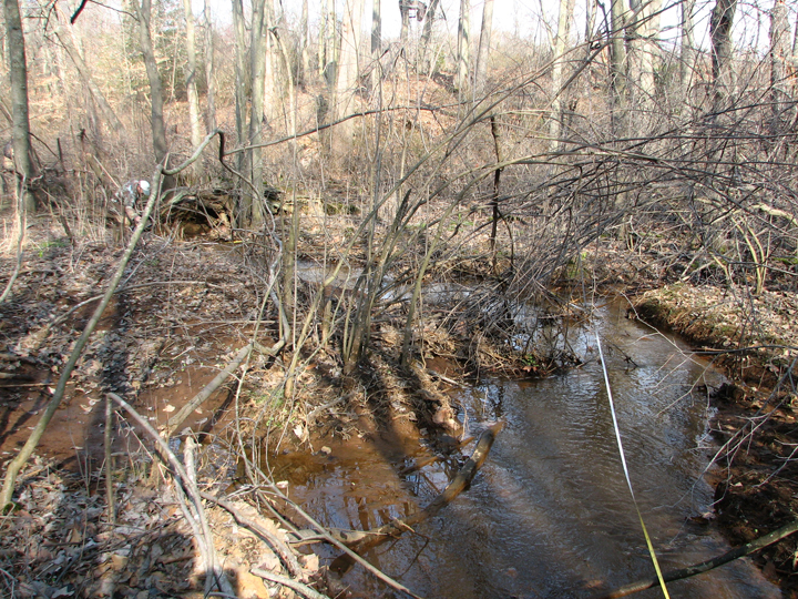 Field photo showing stream conditions at site STIL-108-B-2008-1