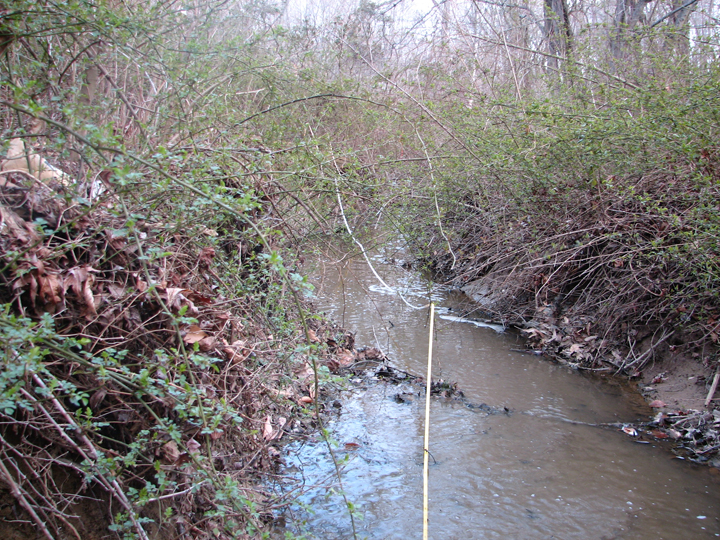 Field photo showing stream conditions at site STIL-109-B-2008-1