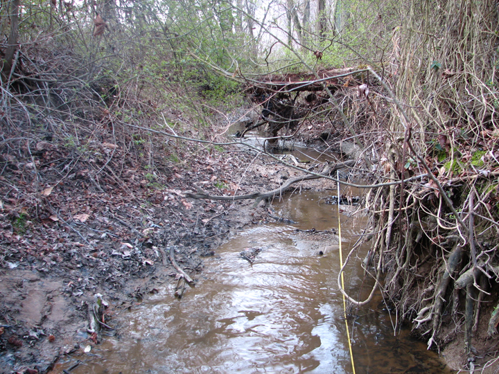 Field photo showing stream conditions at site STIL-109-B-2008-2