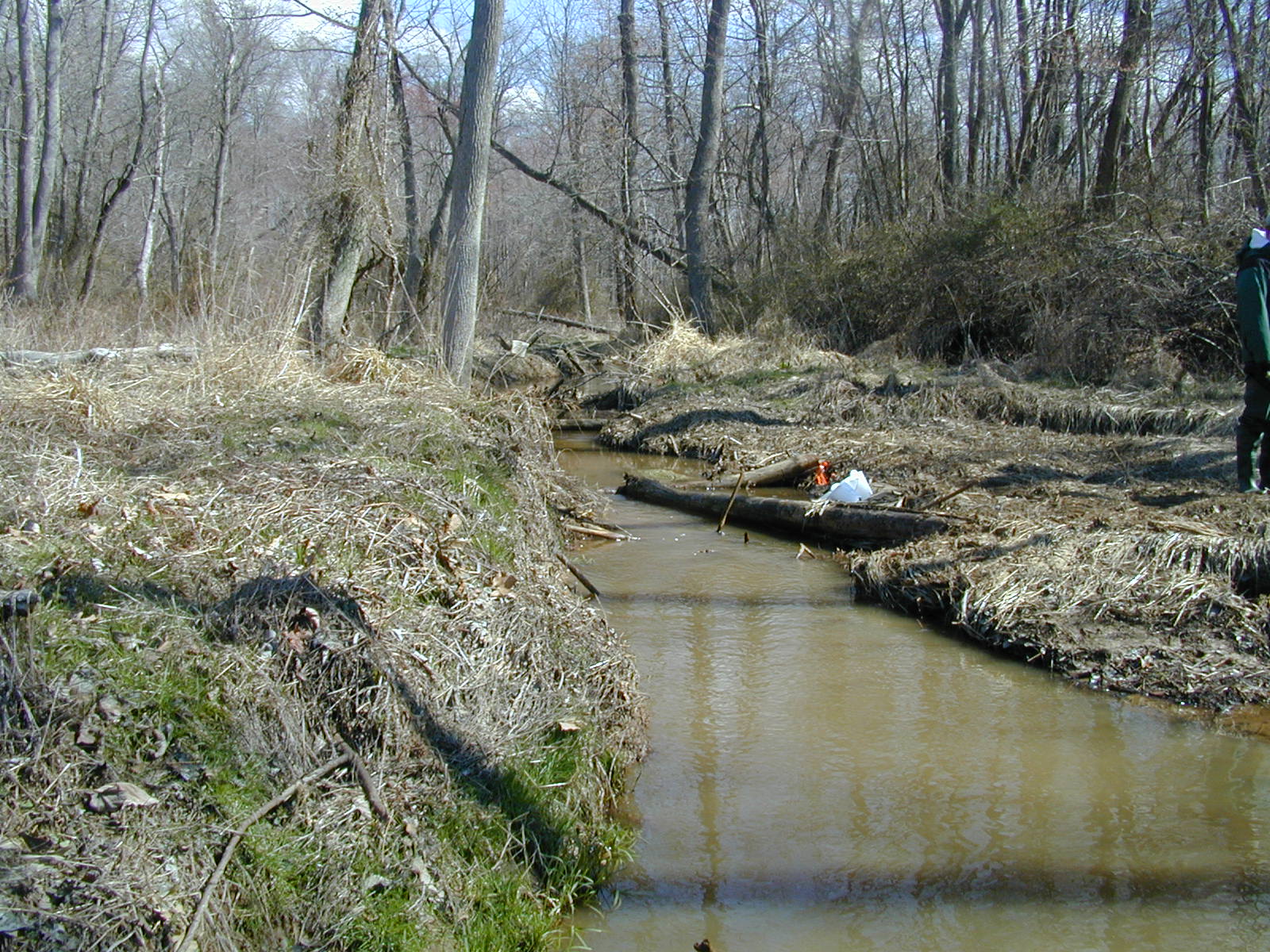 Field photo showing stream conditions at site STIL-109-R-2001-1