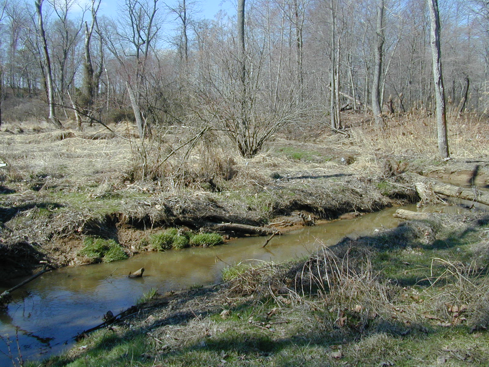 Field photo showing stream conditions at site STIL-109-R-2001-2
