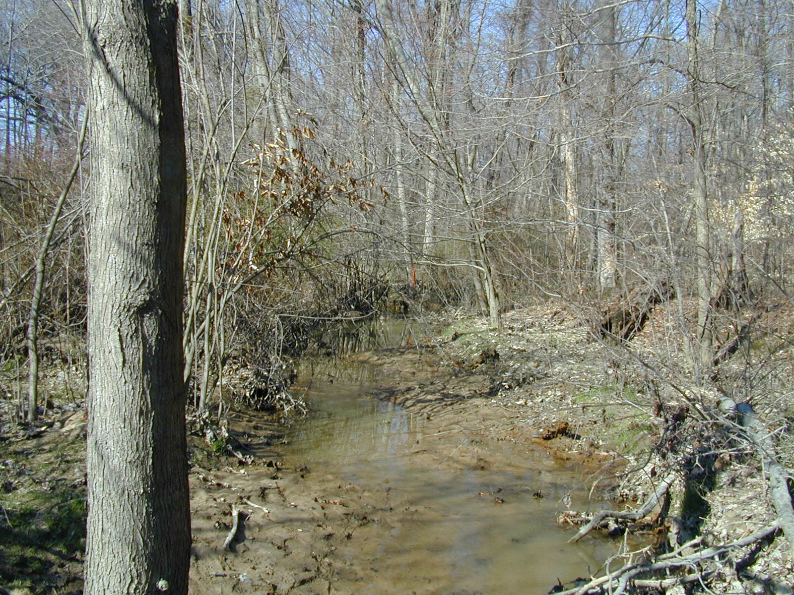 Field photo showing stream conditions at site STIL-114-R-2001-1