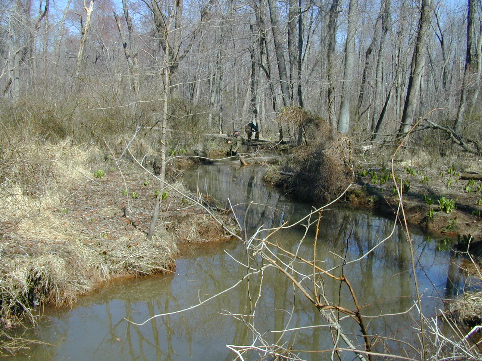 Field photo showing stream conditions at site STIL-119-R-2001-1