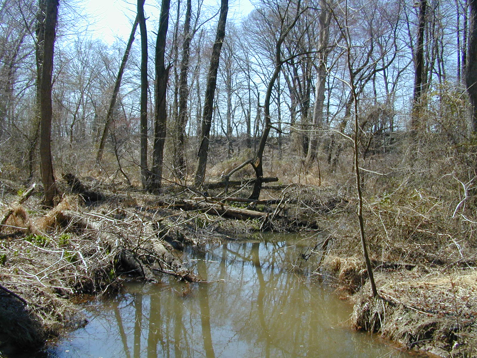 Field photo showing stream conditions at site STIL-119-R-2001-2