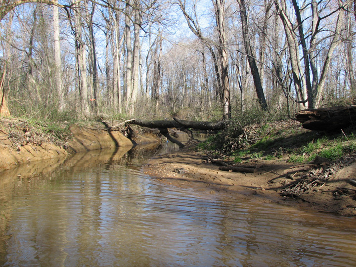 Field photo showing stream conditions at site STIL-202-R-2007-2