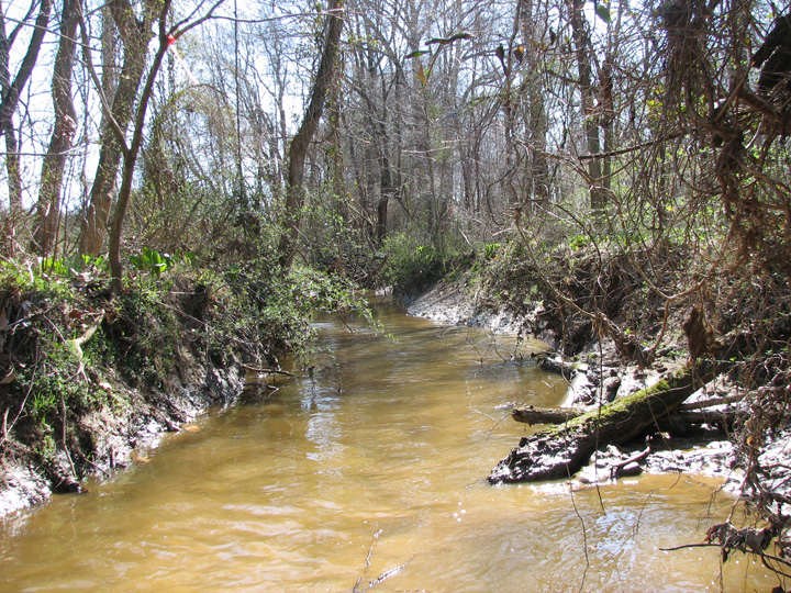 Field photo showing stream conditions at site STIL-206-R-2007-1