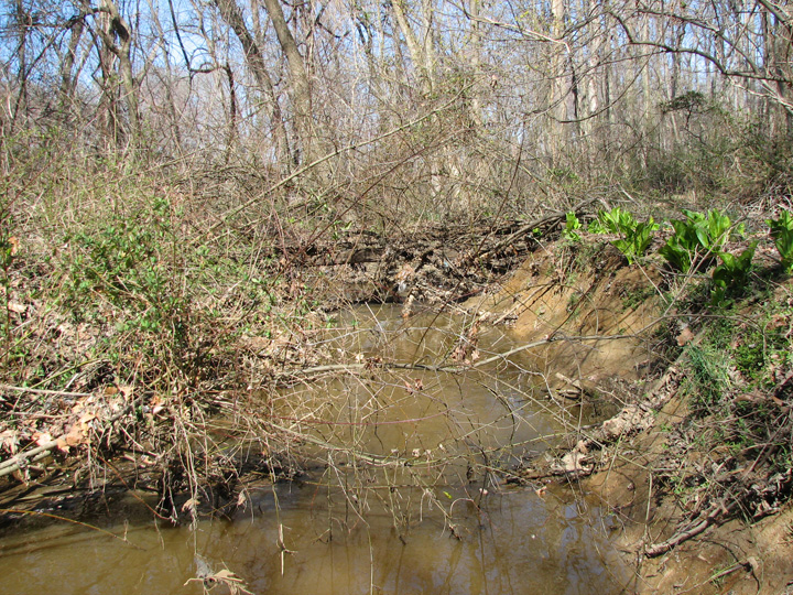 Field photo showing stream conditions at site STIL-206-R-2007-2