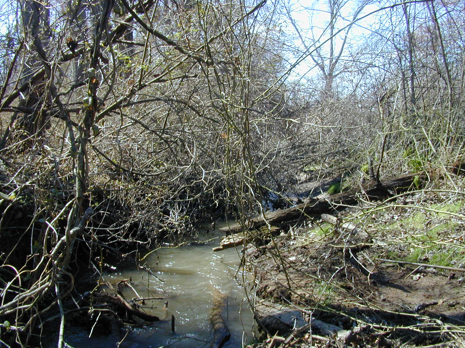 Field photo showing stream conditions at site STIL-207-R-2001-2