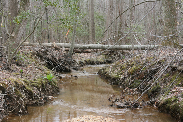 Field photo showing stream conditions at site STMA-101-A-2009-1