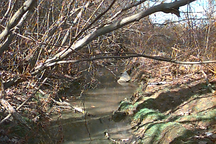 Field photo showing stream conditions at site STMA-101-R-2000-02