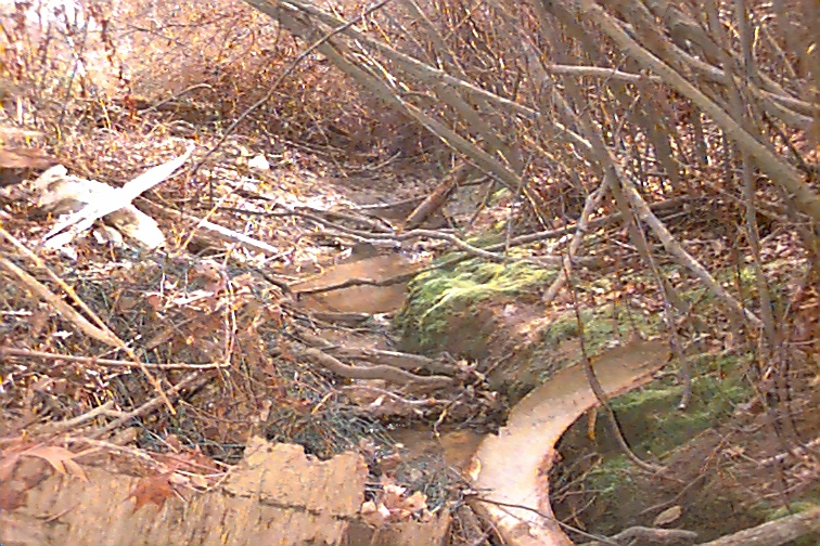 Field photo showing stream conditions at site STMA-101-R-2000-03