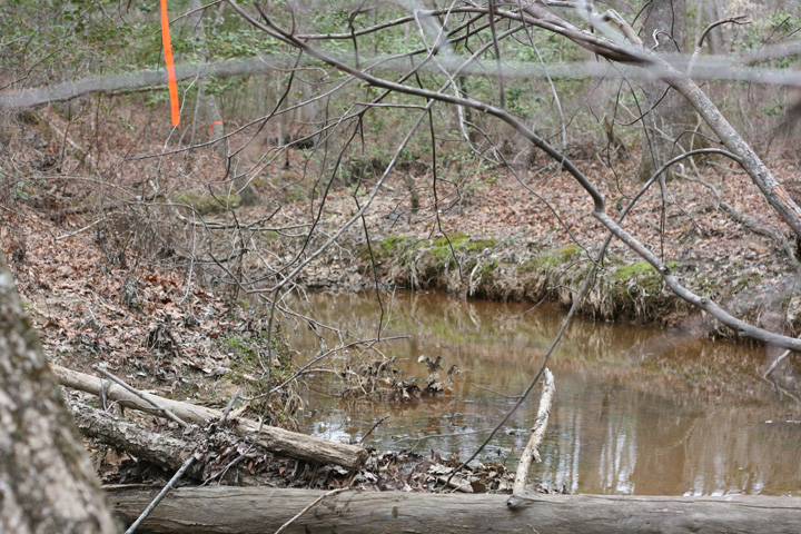 Field photo showing stream conditions at site STMA-103-R-2009-2