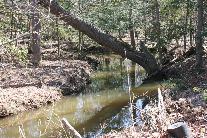 Field photo showing stream conditions at site STMA-104-A-2011-2