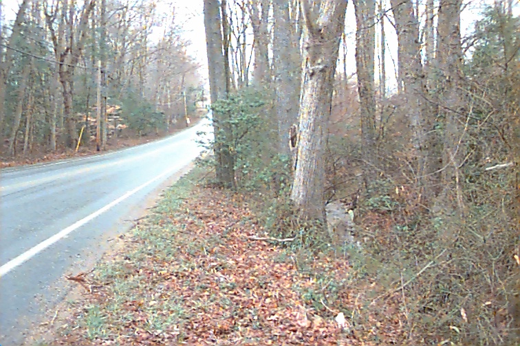 Field photo showing stream conditions at site STMA-104-R-2000-01