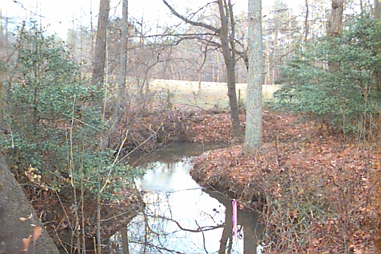 Field photo showing stream conditions at site STMA-104-R-2000-02