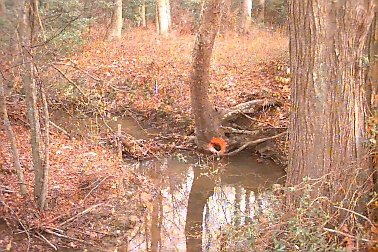 Field photo showing stream conditions at site STMA-104-R-2000-03