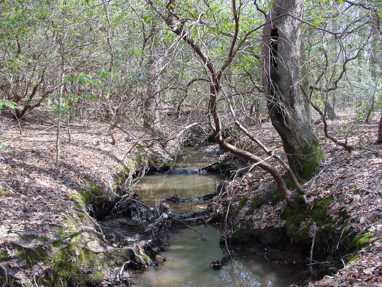 Field photo showing stream conditions at site STMA-104-R-2003-1