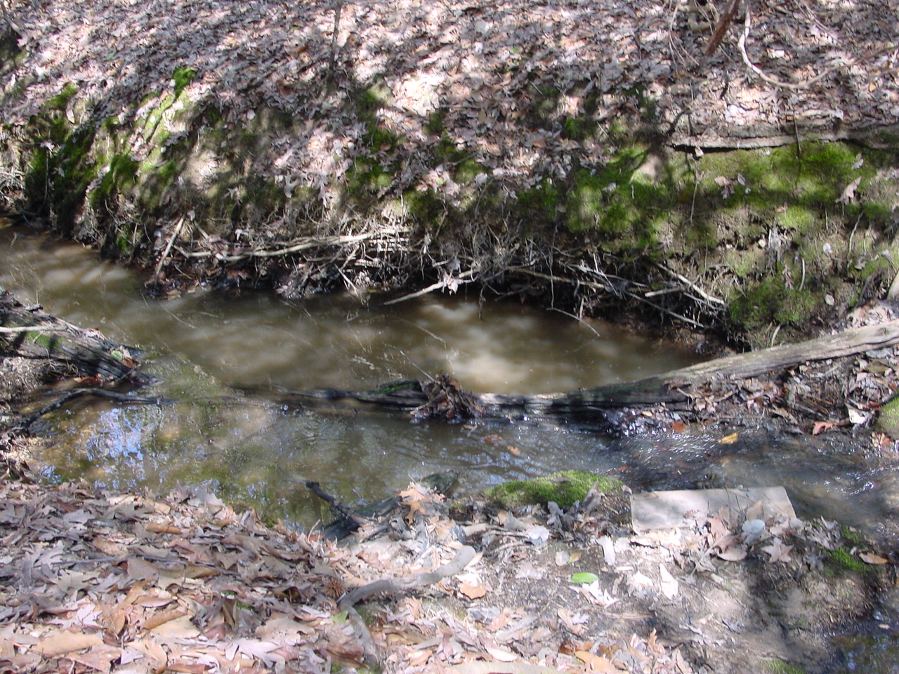 Field photo showing stream conditions at site STMA-104-R-2003-2