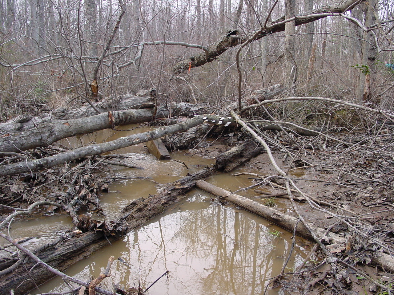 Field photo showing stream conditions at site STMA-105-R-2003-1