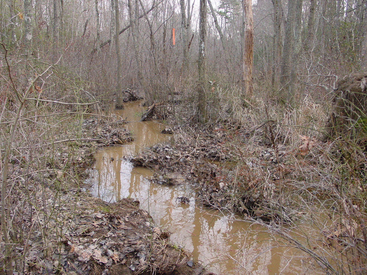 Field photo showing stream conditions at site STMA-105-R-2003-2