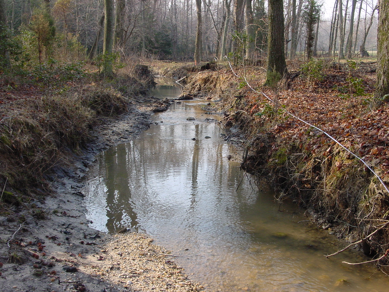 Field photo showing stream conditions at site STMA-106-R-2003-1
