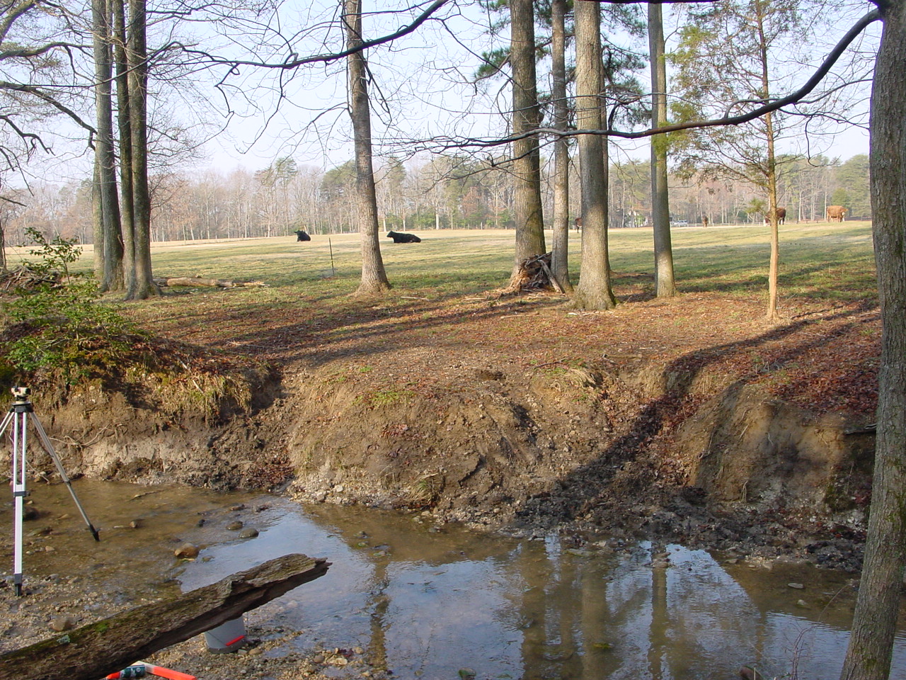 Field photo showing stream conditions at site STMA-106-R-2003-2