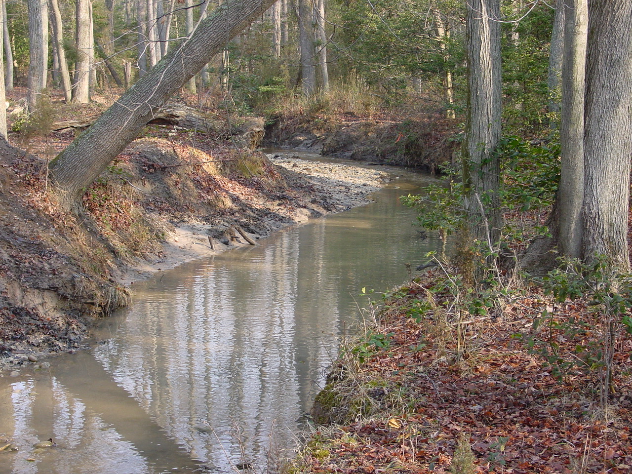Field photo showing stream conditions at site STMA-106-R-2003-3
