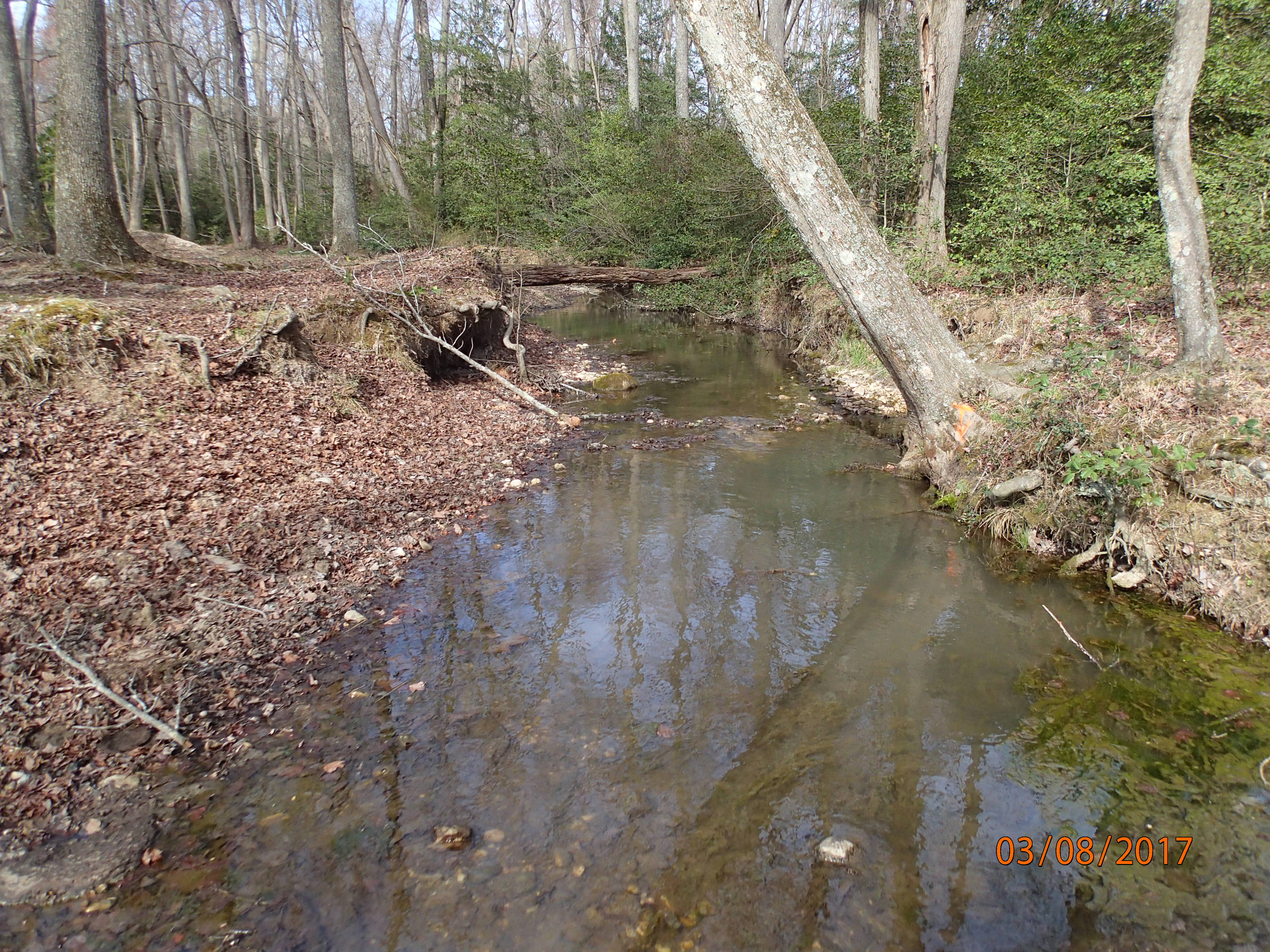 Field photo showing stream conditions at site STMA-106-R-2017-MidpointUpstream