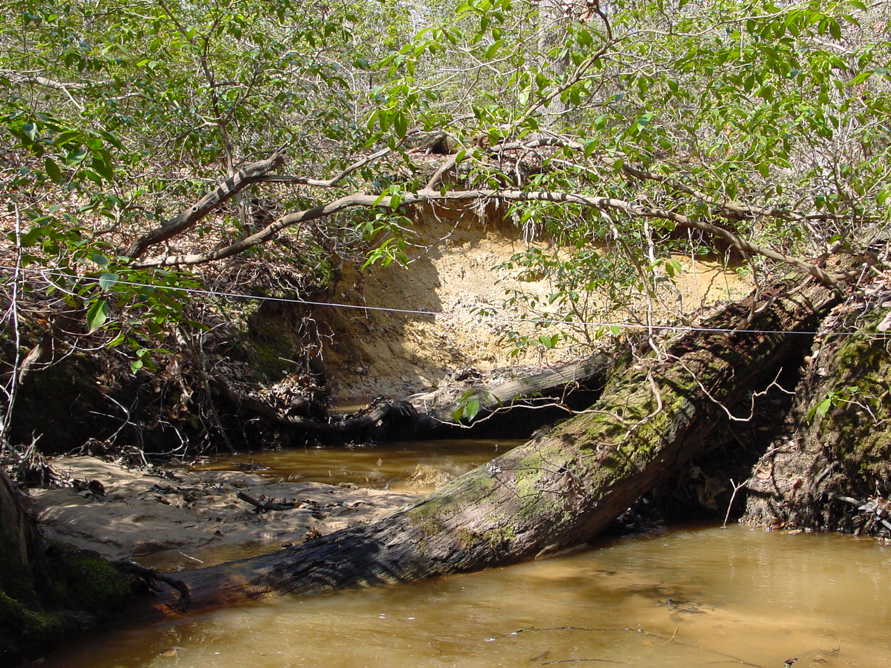 Field photo showing stream conditions at site STMA-107-R-2003-2