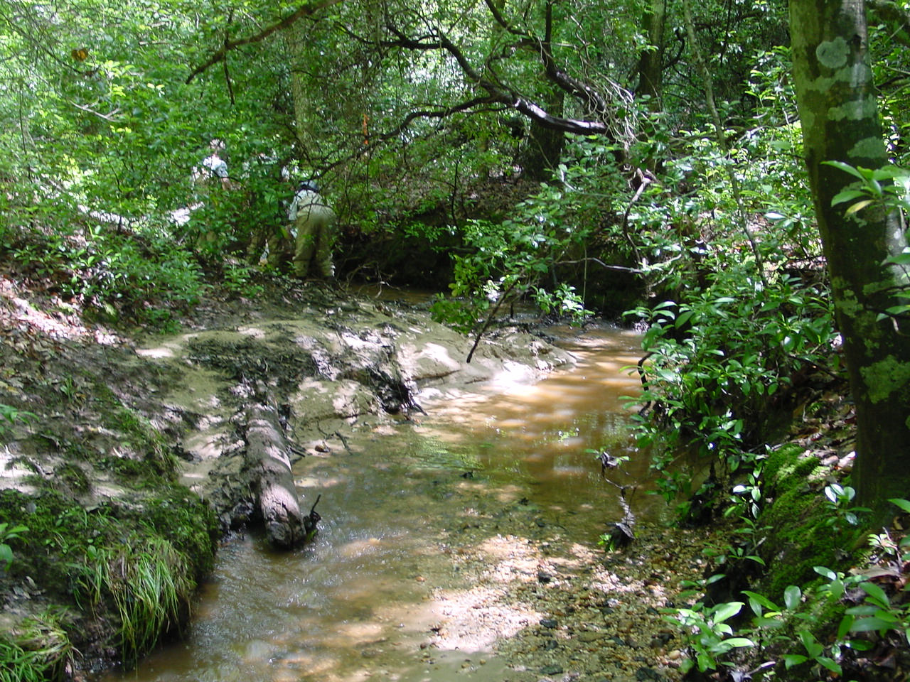 Field photo showing stream conditions at site STMA-107-R-2003-4